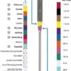 Schmetz Needle Chart