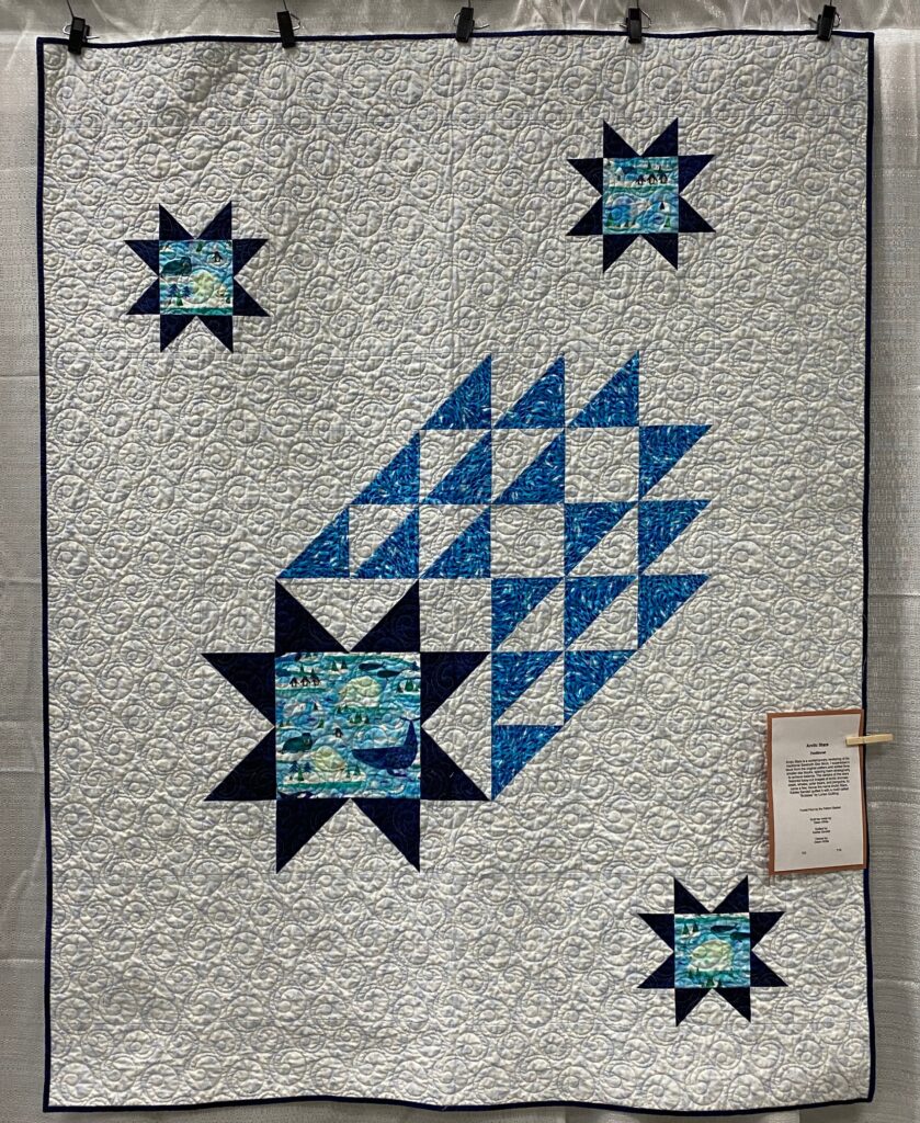 The 2023 MPS Earth Day Quilt Show - Dawn W. - Arctic Stars