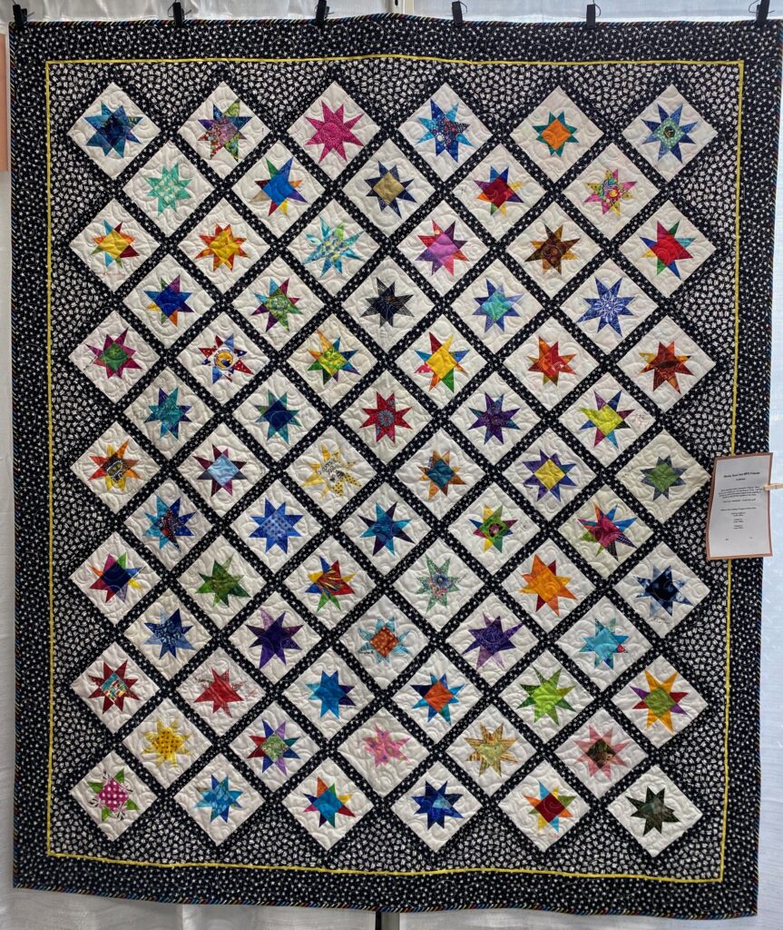 The 2023 MPS Earth Day Quilt Show - Linda G. - Wonky Stars from MPS Friends