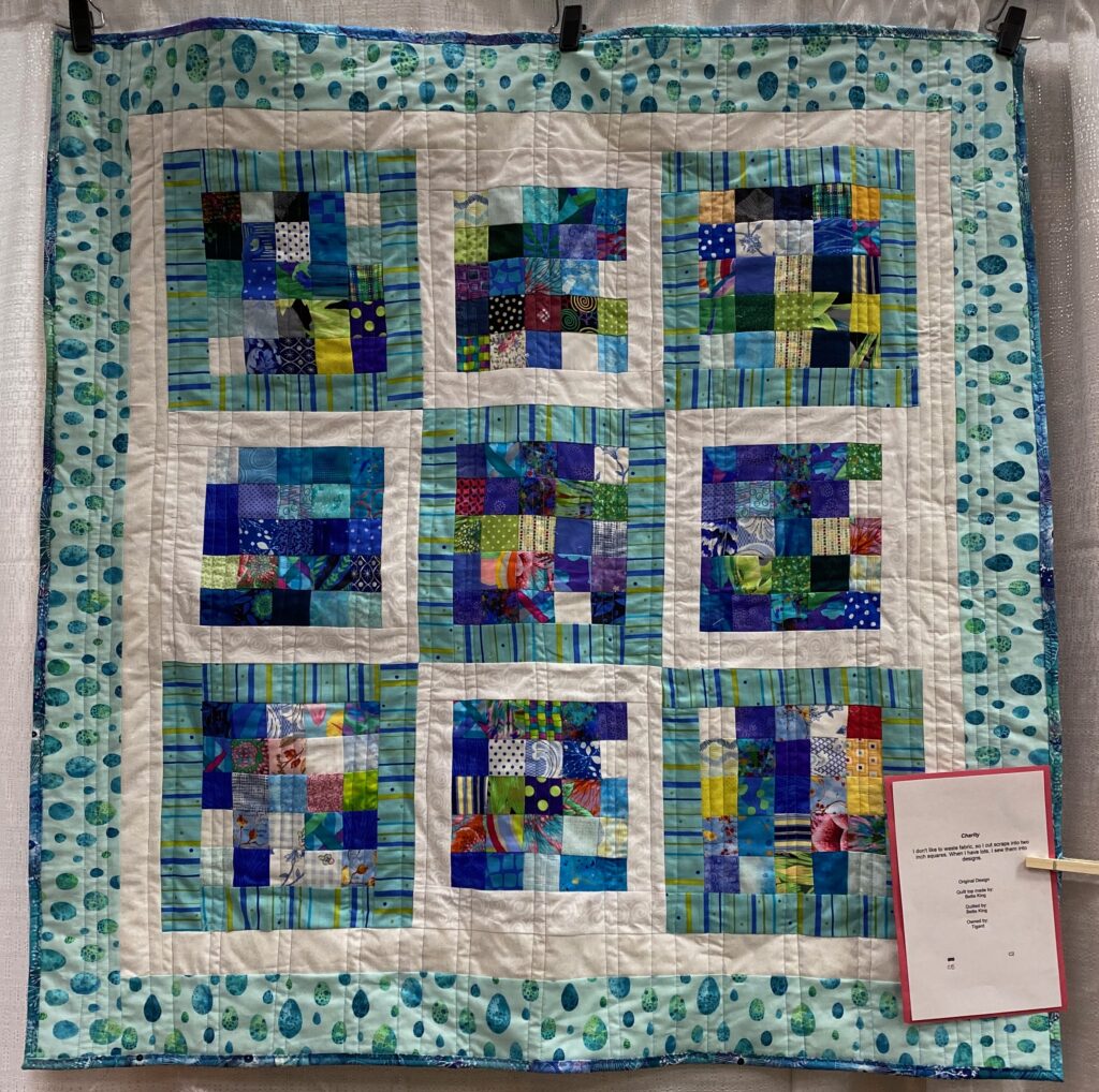 The 2023 MPS Earth Day Quilt Show - Bette K. - Charity Quilt