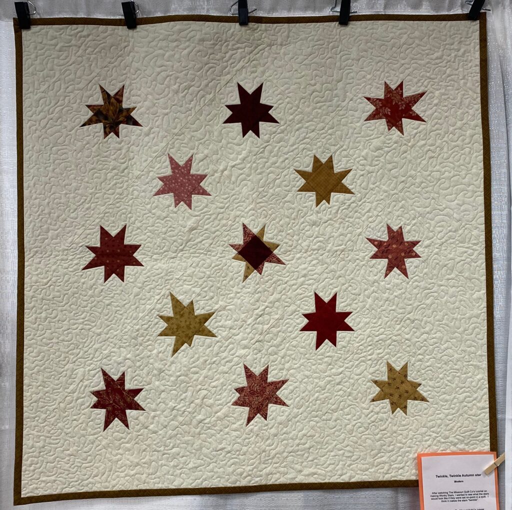 The 2023 MPS Earth Day Quilt Show - Dianne M. - Twinkle, Twinkle Autumn Star