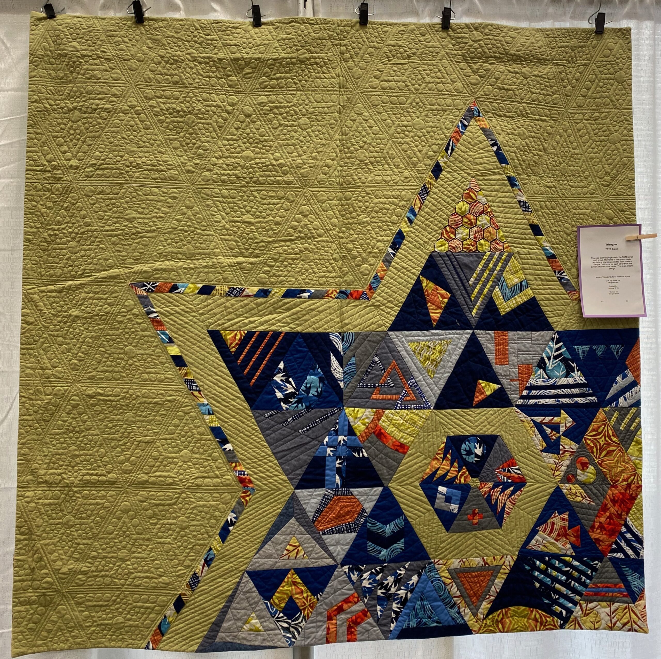 The 2023 MPS Earth Day Quilt Show - Jacque E. - Triangles