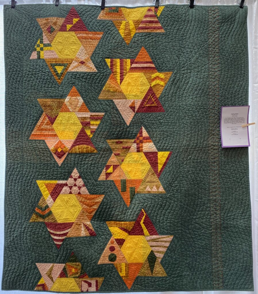 The 2023 MPS Earth Day Quilt Show - Dianne M. - Falling Stars