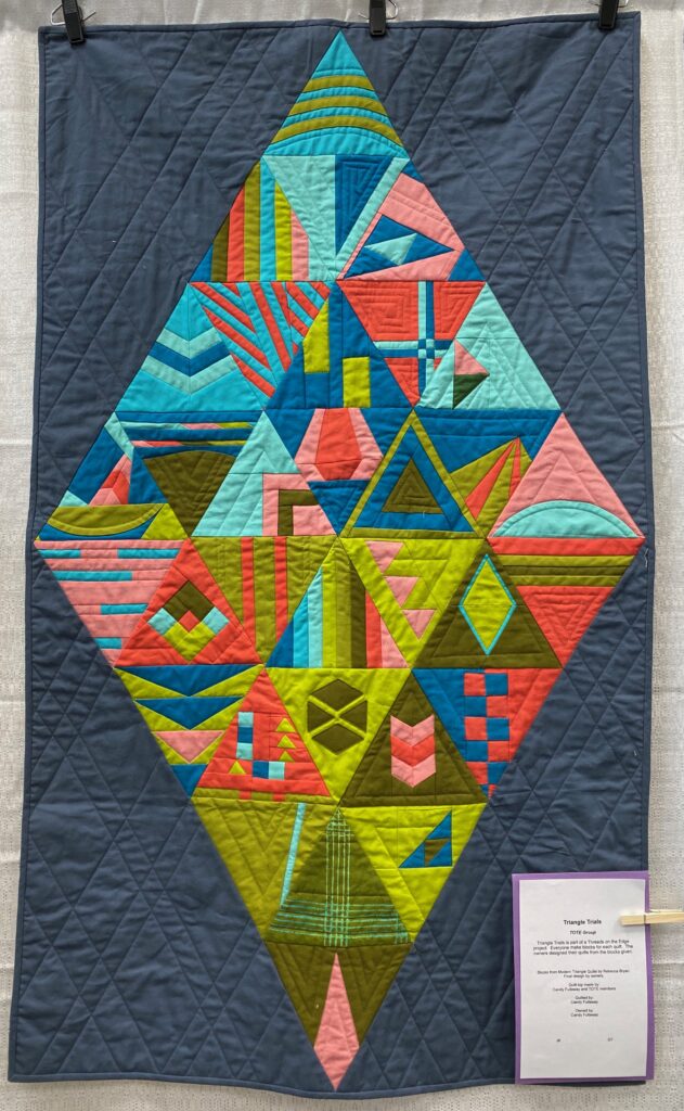 The 2023 MPS Earth Day Quilt Show - Candy F. - Triangle Trials