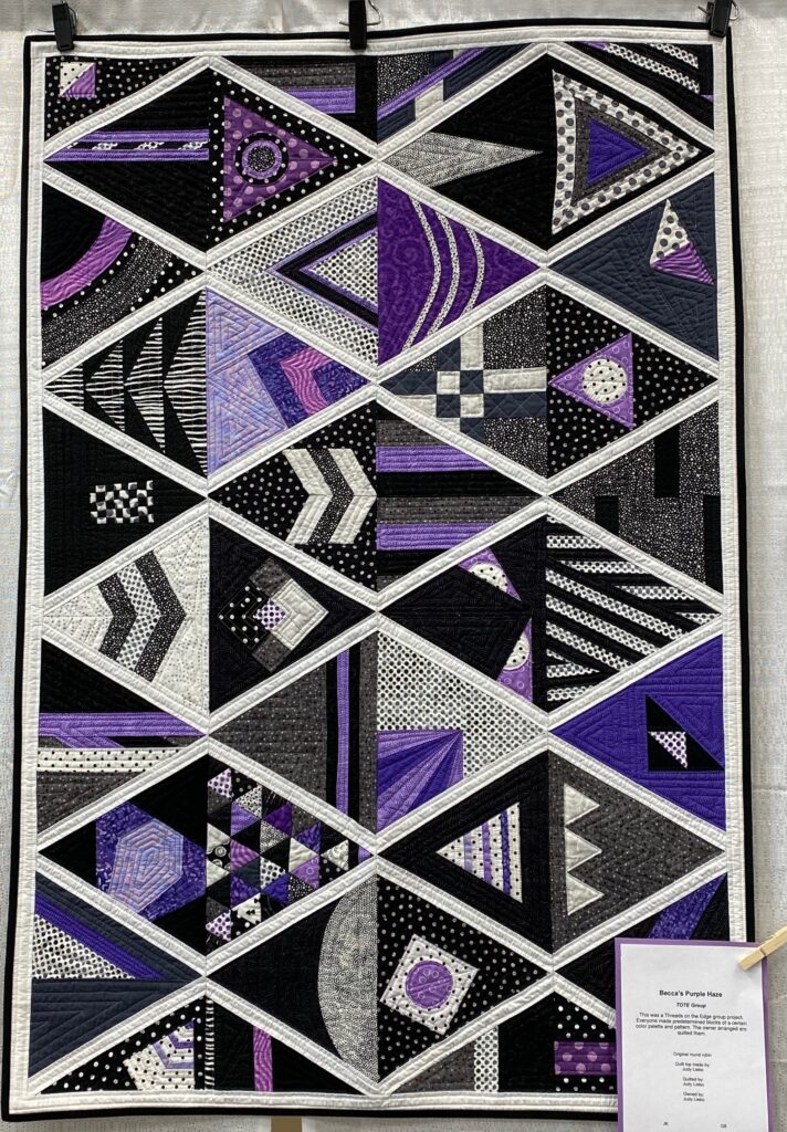 The 2023 MPS Earth Day Quilt Show - Judy - L. - Becca's Purple Haze