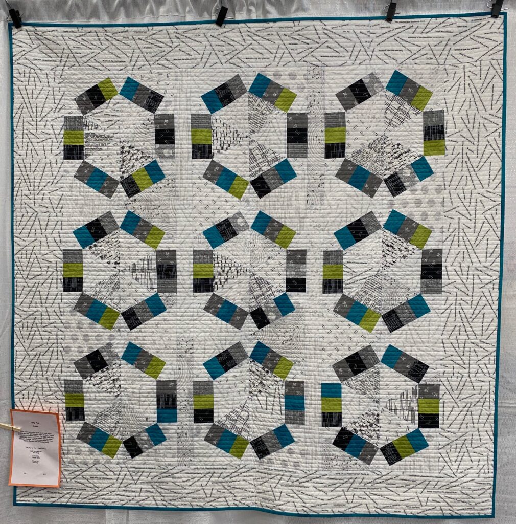 The 2023 MPS Earth Day Quilt Show - Kim K. - Taffy Pull