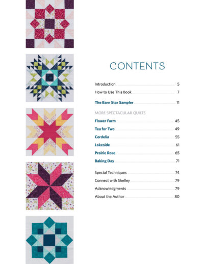 candt-publishing-barn-star-sampler__86882 - Table of Contents Image