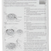 Clover Threaded Needle Case - Back of Package - Image