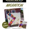 Introducing - Migration