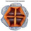 Singer Rotating Organizer - Overhead View