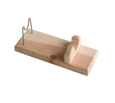 Mini Iron Wooden Holder