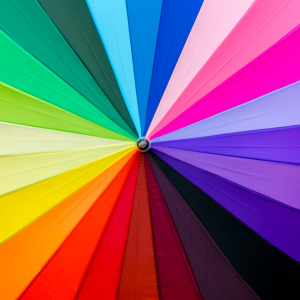 Focus on Fabric - Color Wheel
