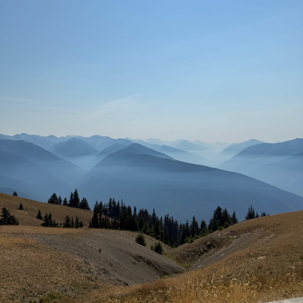 Creative Breaks for Quilters - Hurricane Ridge - Olympic National Forest