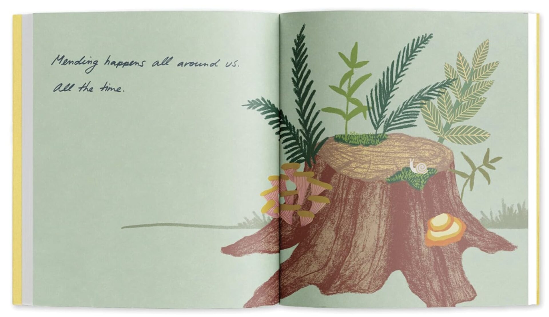 Mending Life - Happens all Around us