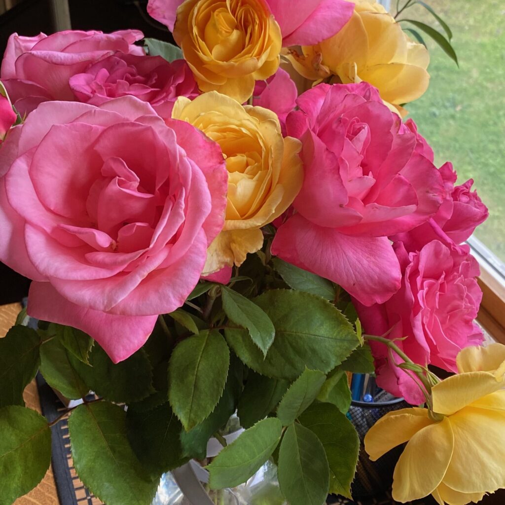 nature-Inspired Fabric Color Pulls - Vase of Roses