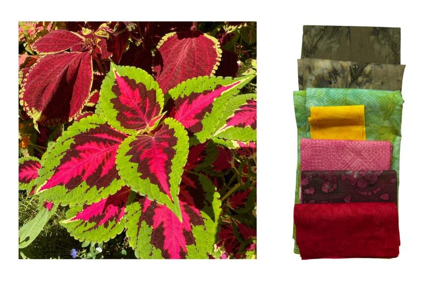 Nature-Inspired Fabric Color - Coleus