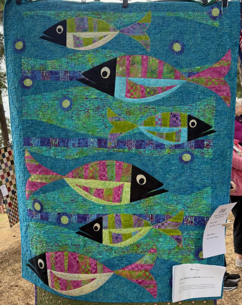 MPS Outdoor Quilt Show - 2026