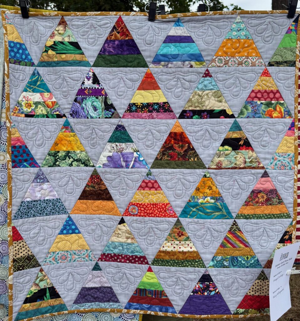 MPS Outdoor Quilt Show - 2026