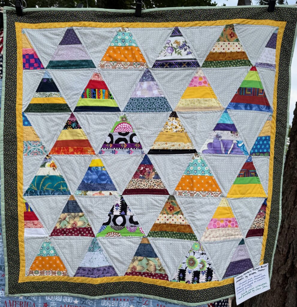 MPS Outdoor Quilt Show - 2026