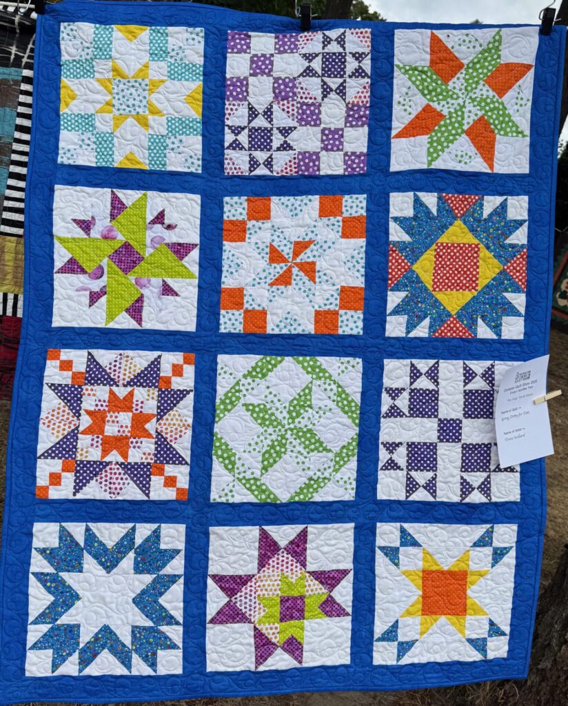 MPS Outdoor Quilt Show - 2026