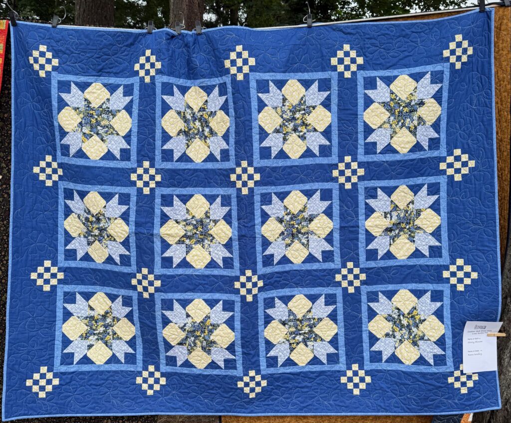 MPS Outdoor Quilt Show - 2026