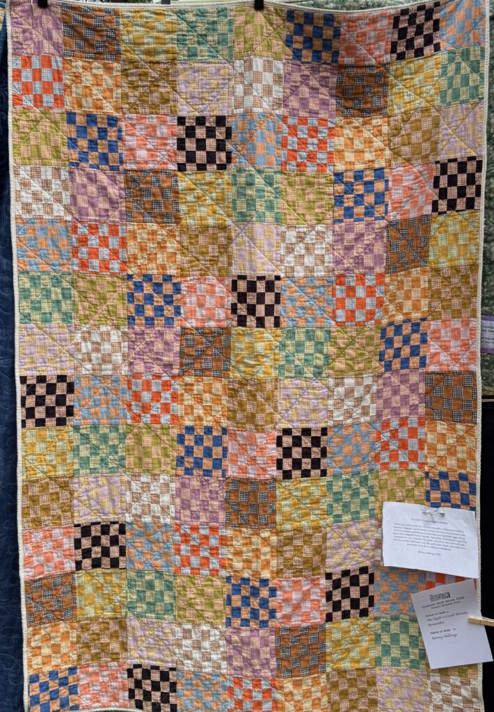 MPS Outdoor Quilt Show - 2026