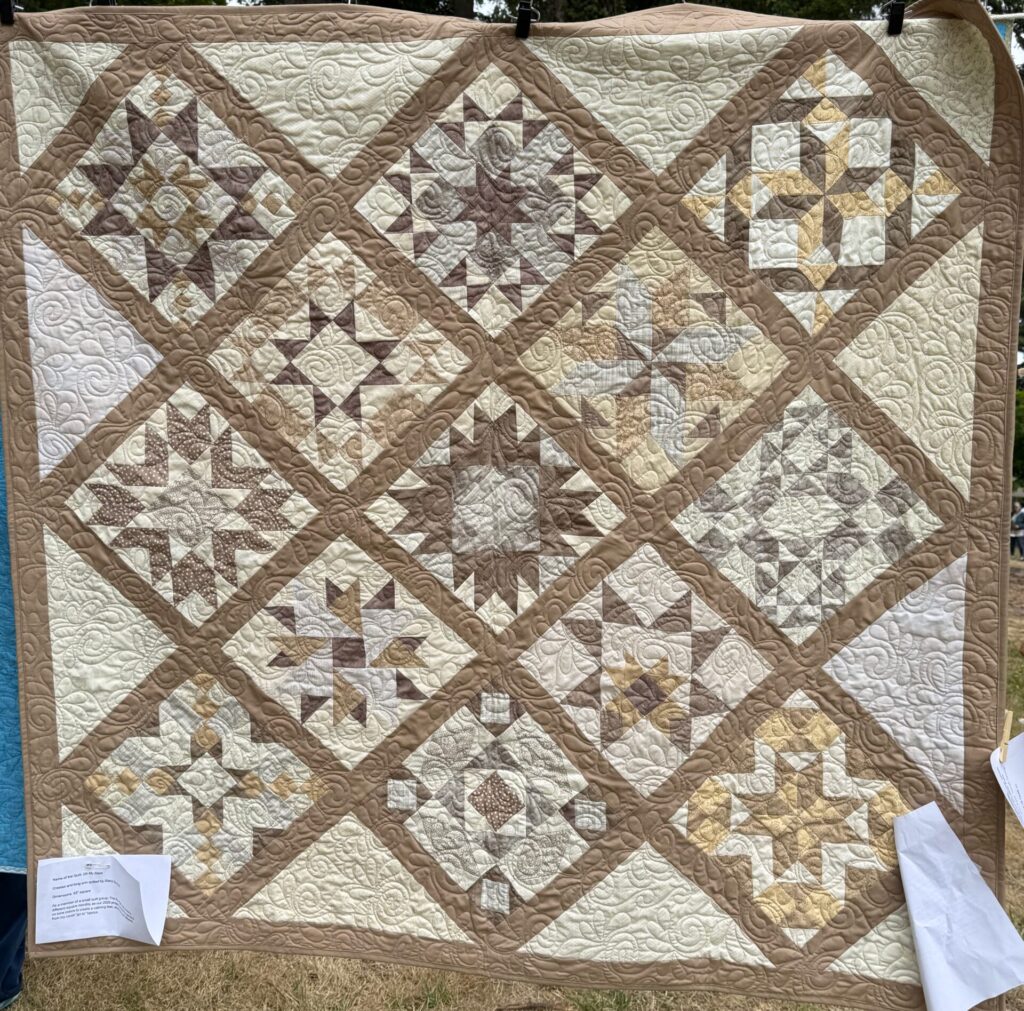MPS Outdoor Quilt Show - 2026