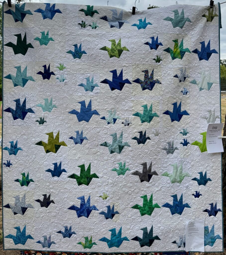 MPS Outdoor Quilt Show - 2026
