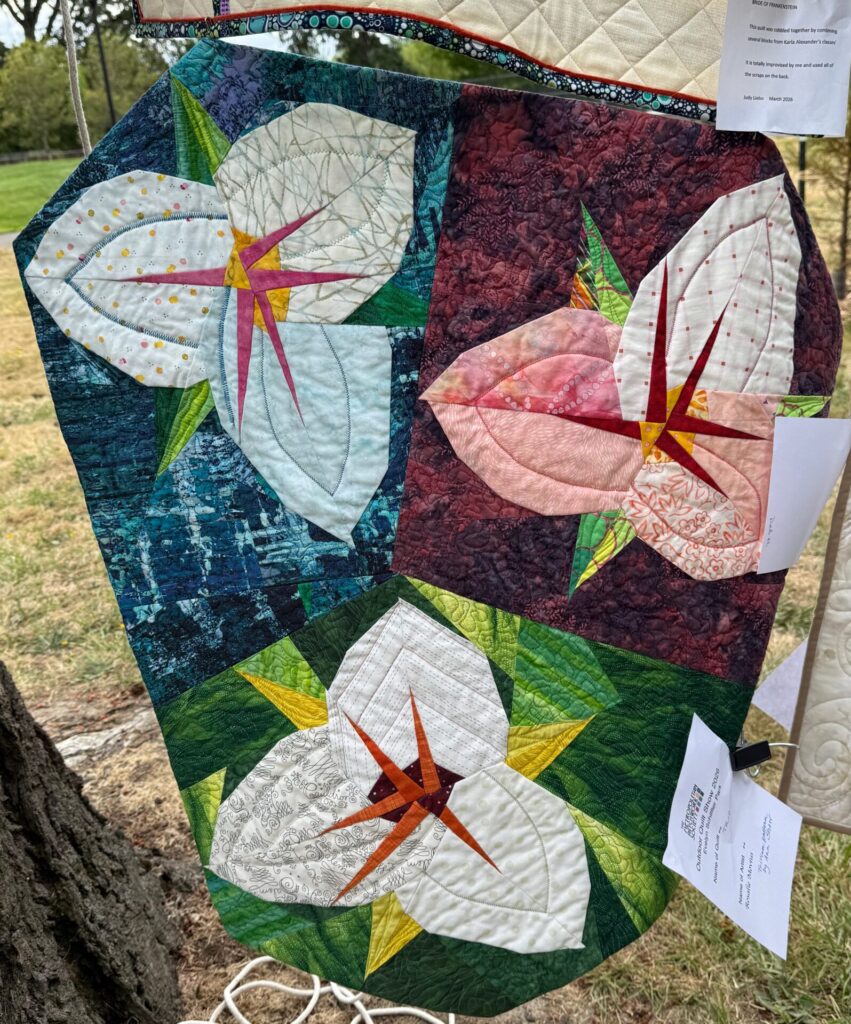 MPS Outdoor Quilt Show - 2026